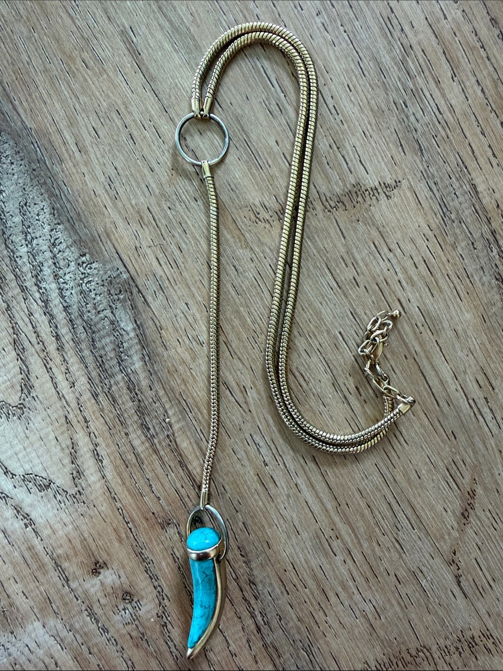 Pamela Love Gold Chain Necklace with Turquoise Horn Pendant